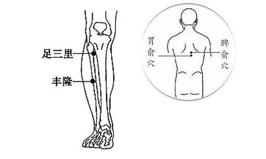 末伏时节养护脾胃,可按摩丰隆,足三里,脾俞三个穴位,每天各按100次