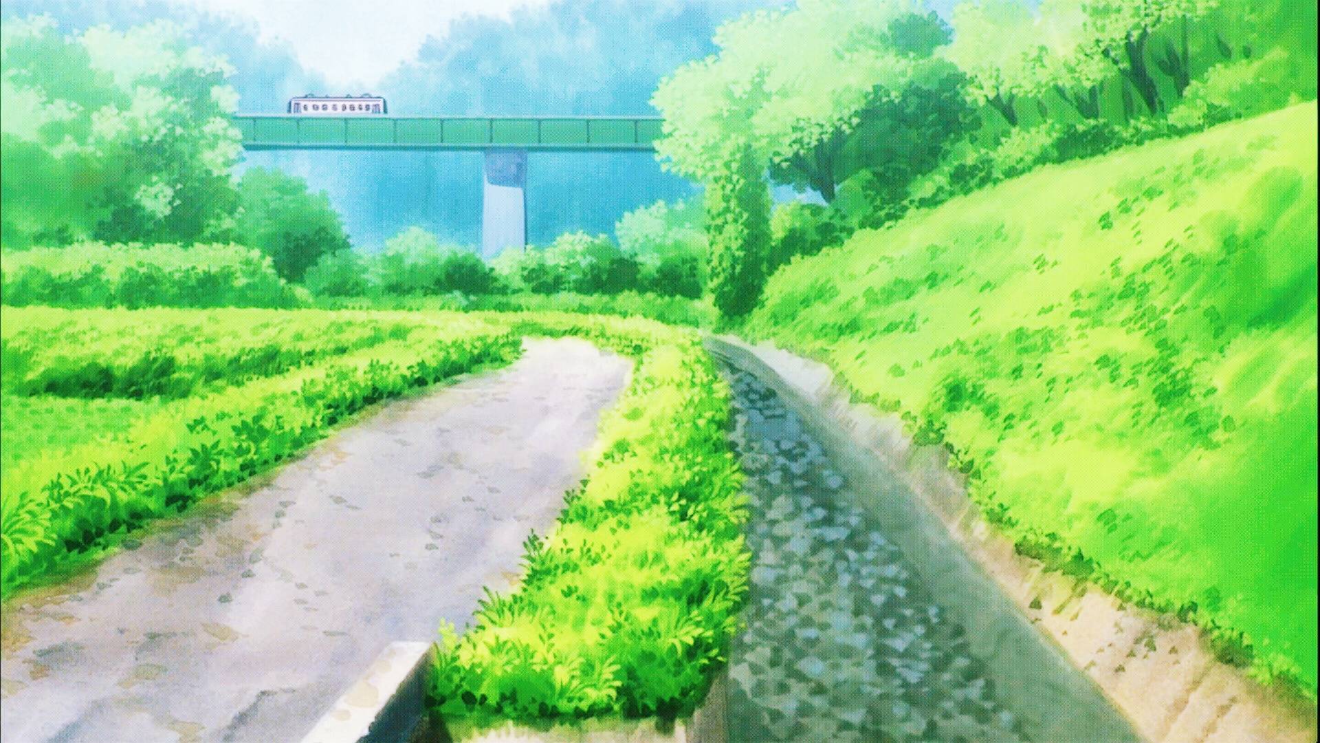 夏目友人帐里的夏日