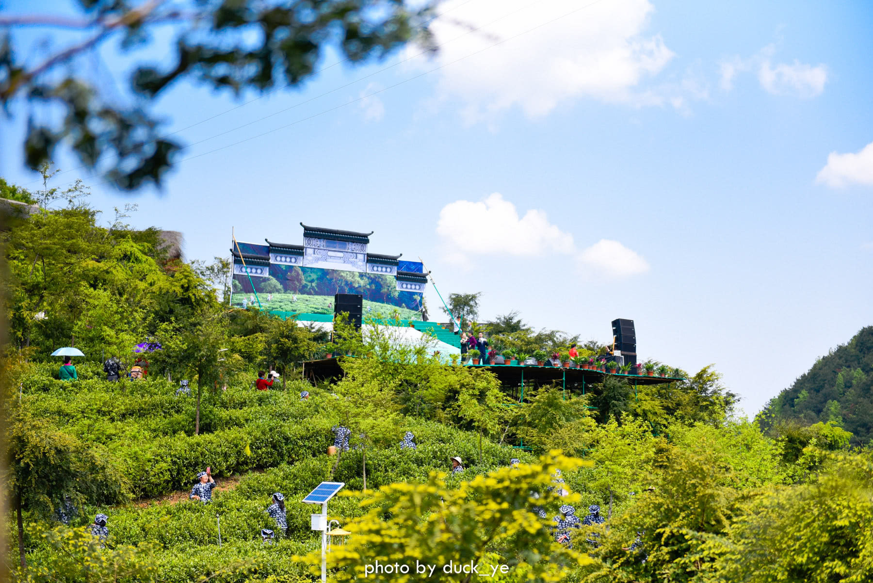 踏春好去处,千年茶礼,万亩茶园,都在这个深山里的虔心小镇