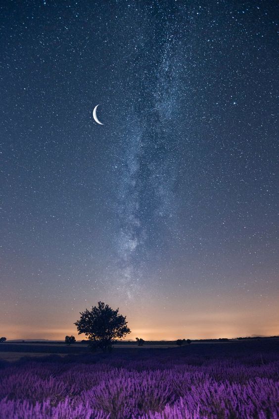 即使生活在阴沟里也有仰望星空的权利王尔德