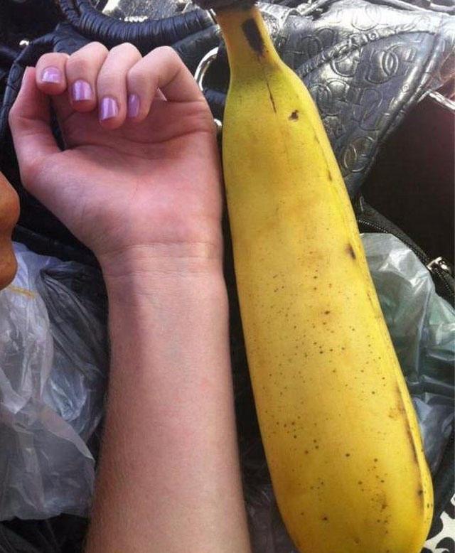 重达4斤巨型香蕉你吃过吗? 一根可以管饱一整天!