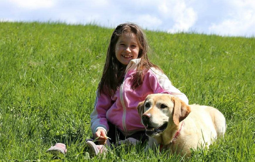 让孩子和狗一起快乐成长,盘点适合陪伴孩子的狗狗