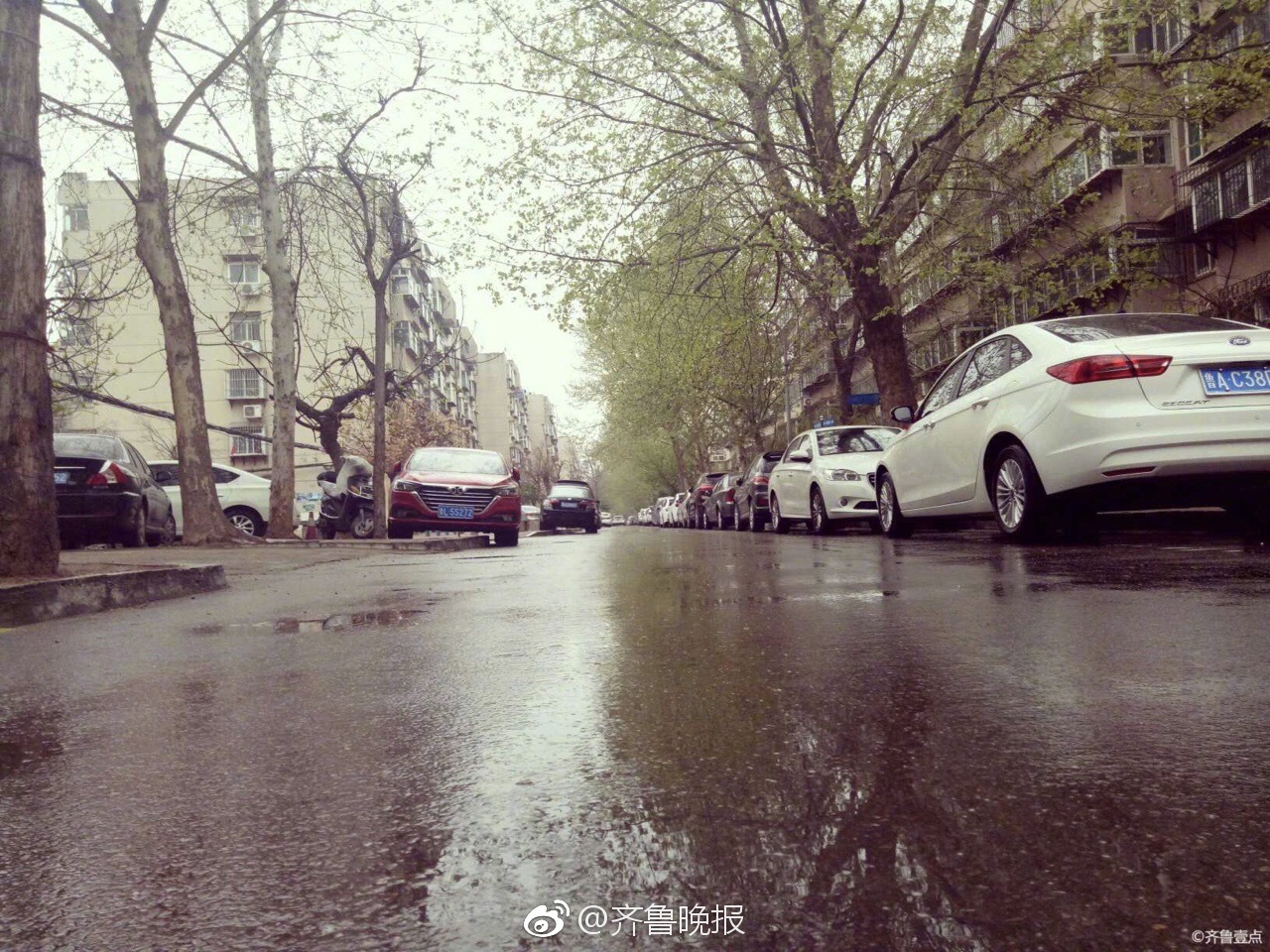 下雨了清明时节泉城济南降下小雨滋润万物生长