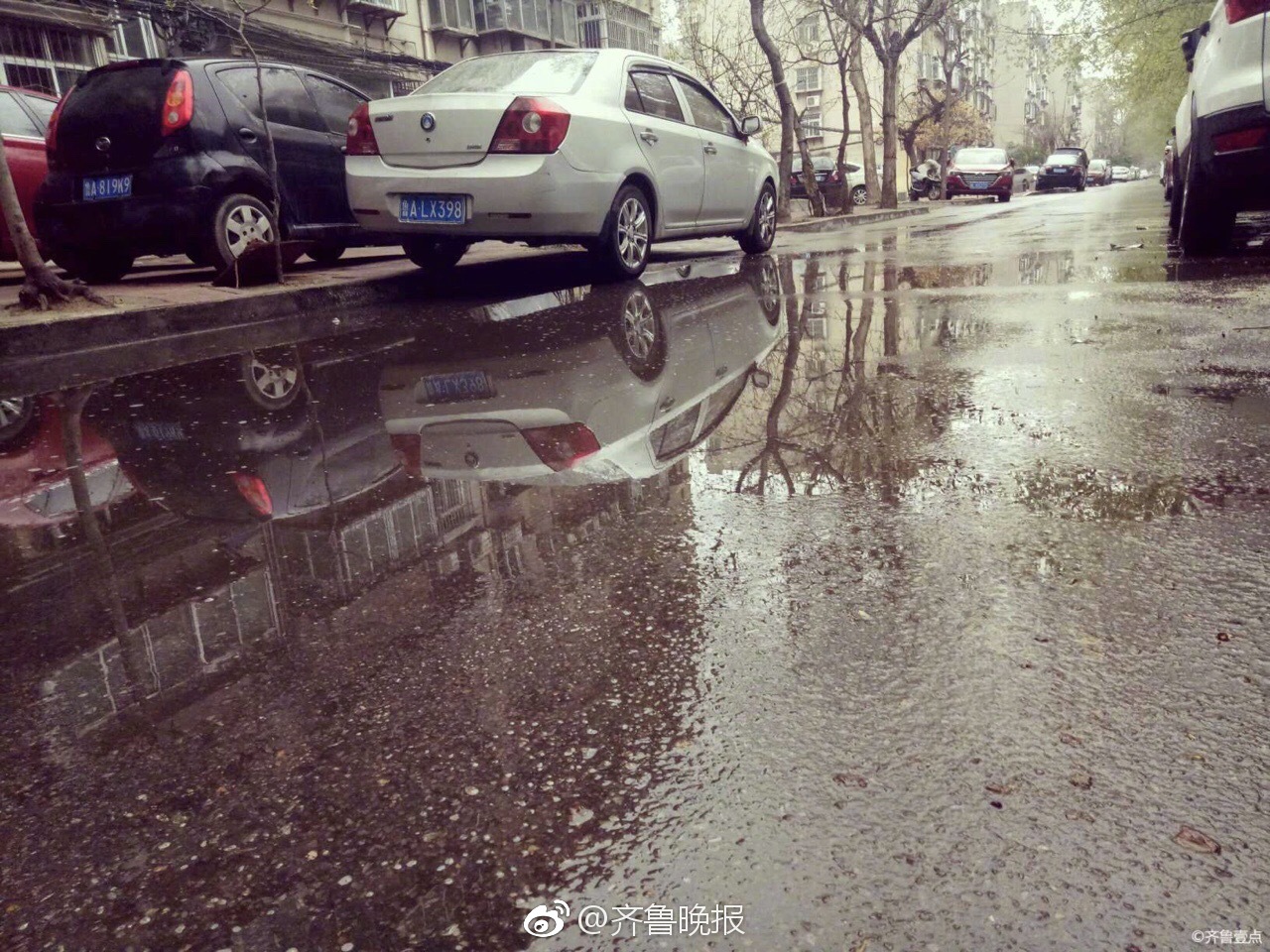 下雨了清明时节泉城济南降下小雨滋润万物生长