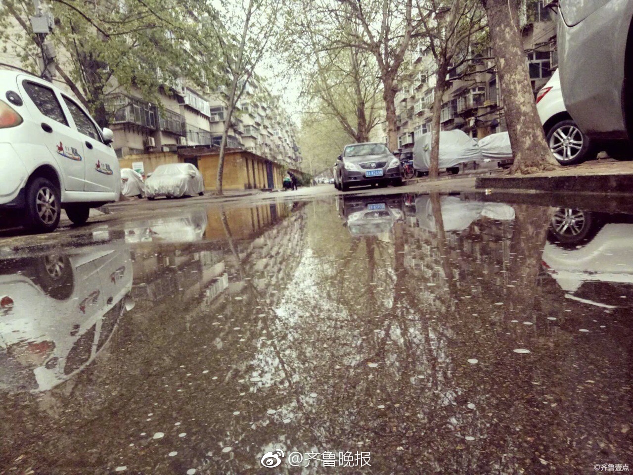 下雨了清明时节泉城济南降下小雨滋润万物生长