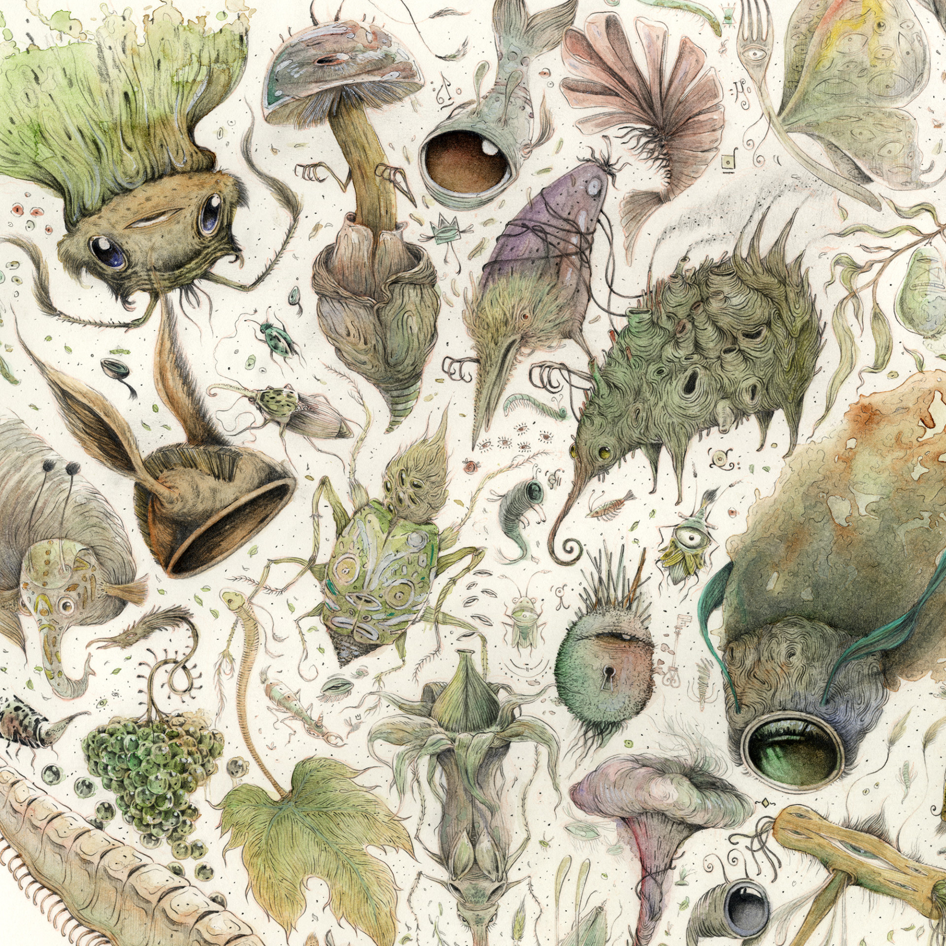 充满幻想的奇异混合生物 | 西班牙插画家 vorja sánchez