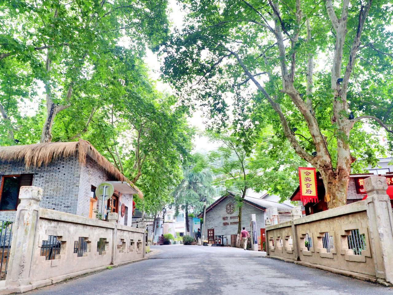 d1 上海出发前往莫干山,抵达木叶夏民宿,游览莫干山庾村民国风情一条