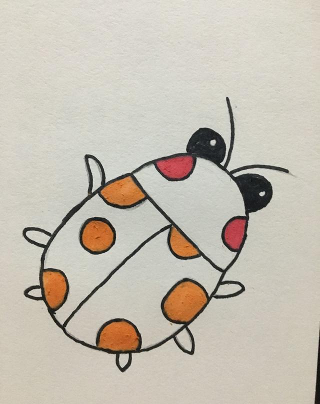 简笔画瓢虫的画法