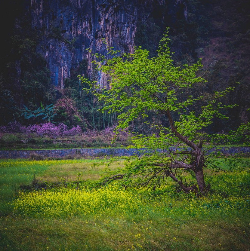 山重水复疑无路,柳暗花明又一村.