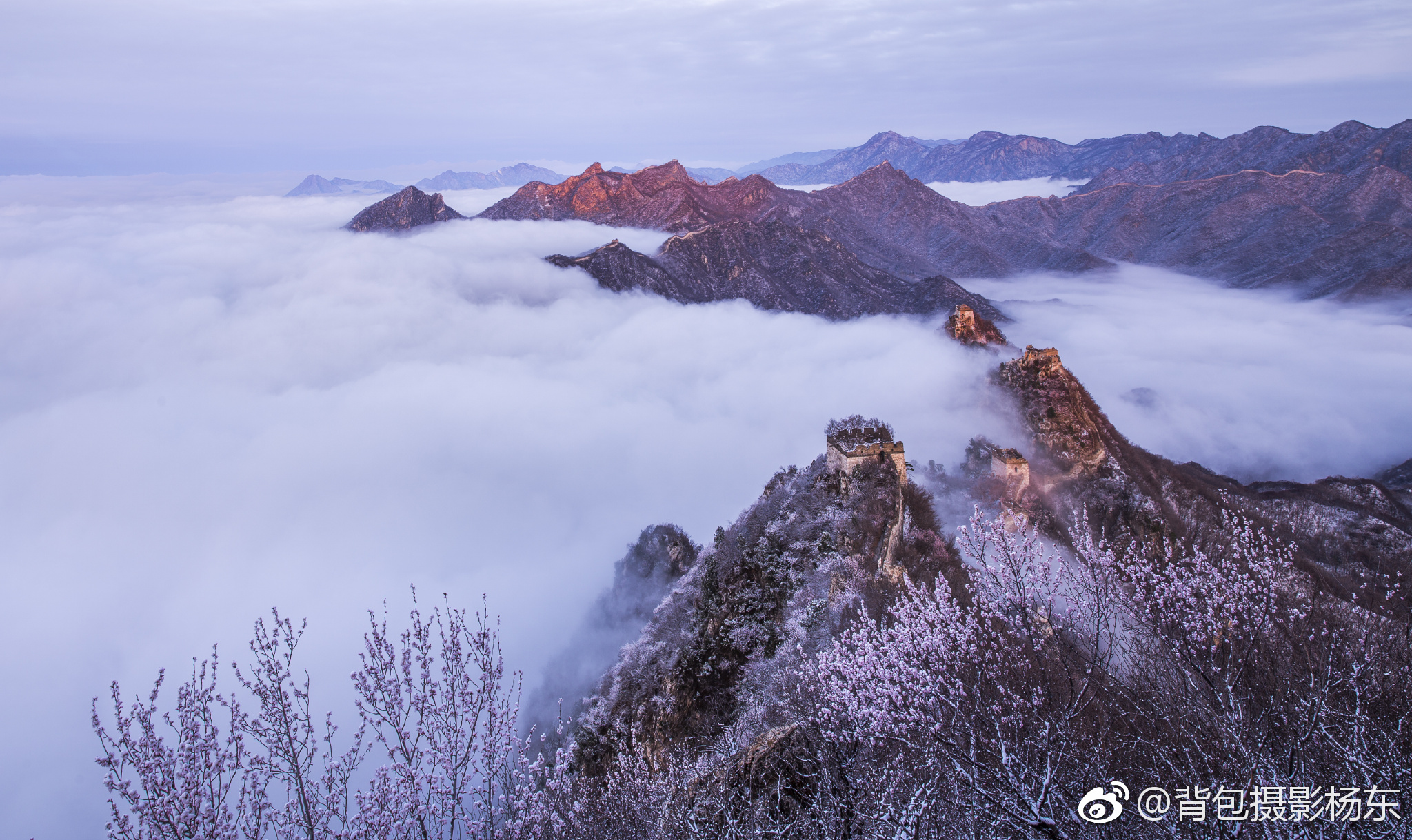 《长城春花合集》