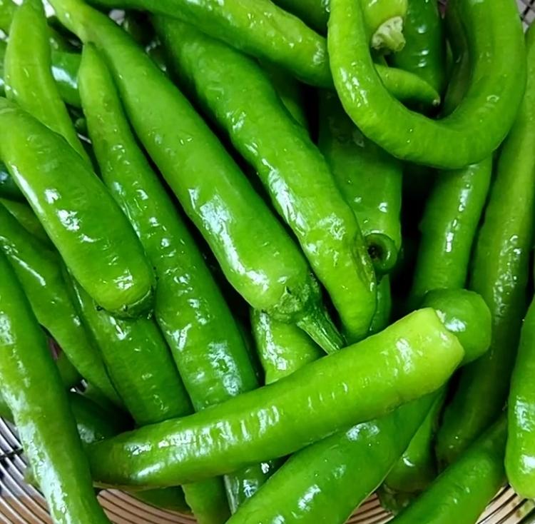 鱼肉吃太多, 教你用2元钱做一道菜, 开胃不油腻