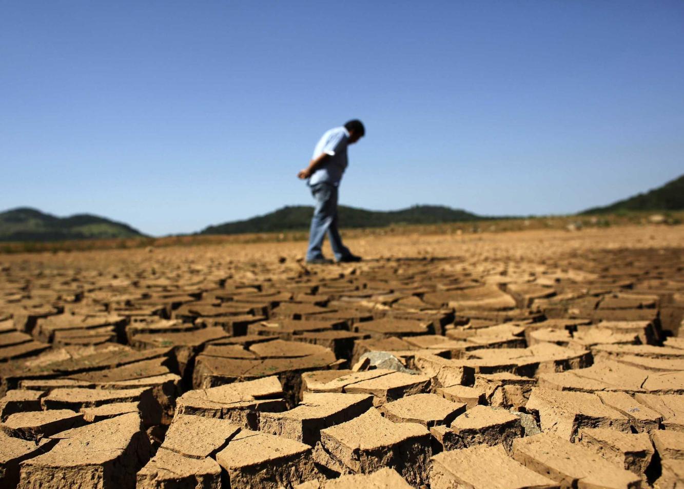 10张图片直击地球发烧现状生物进化敌不过人类作法