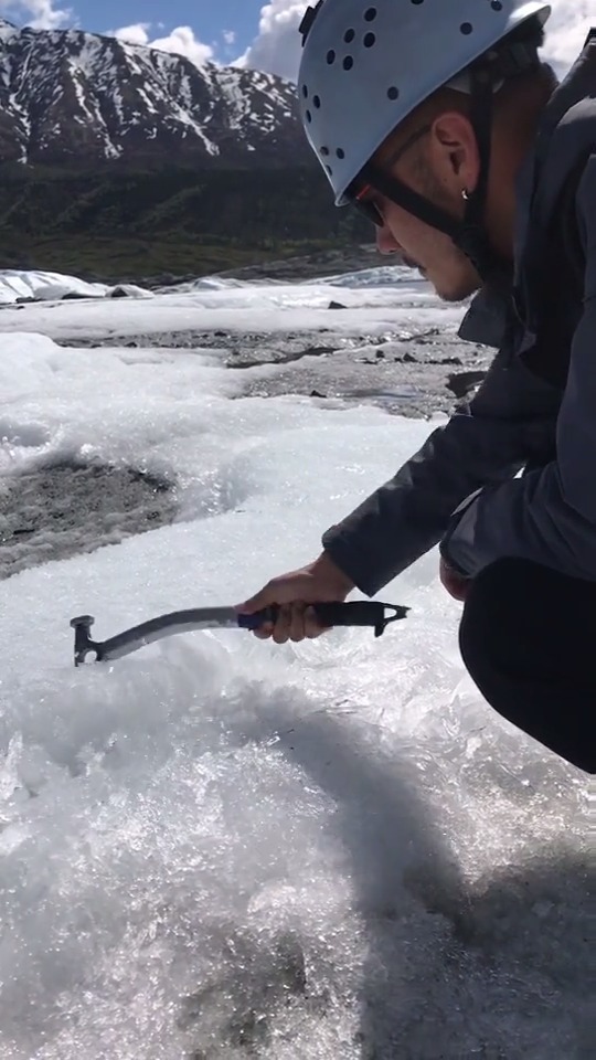 阿拉斯加帝王蟹主产地在美国阿拉斯加,是日常