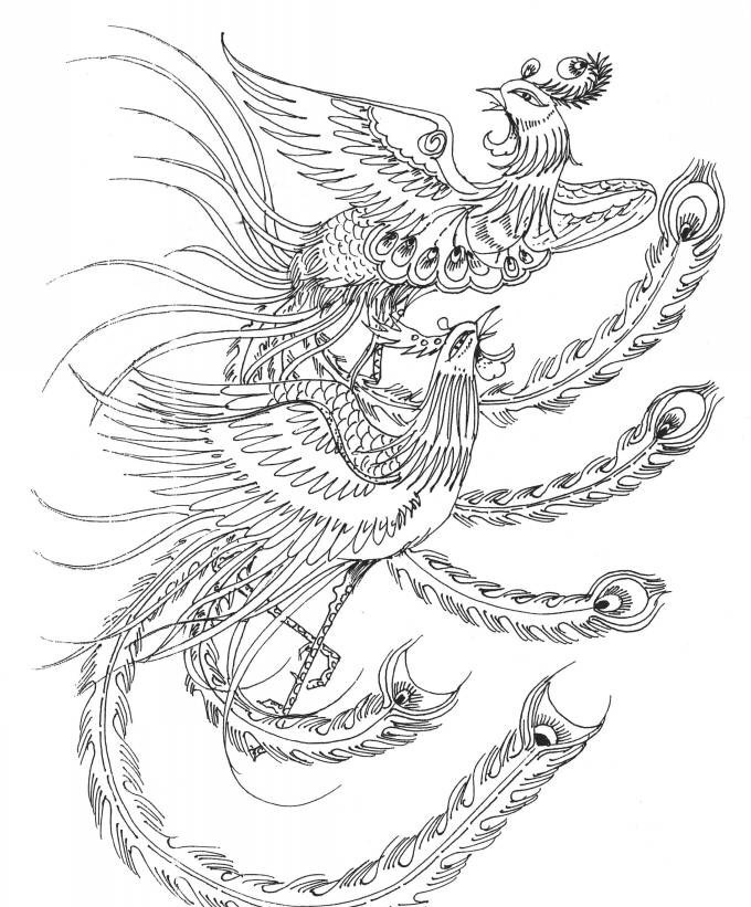 凤兮凤兮归故乡遨游四海求其凰