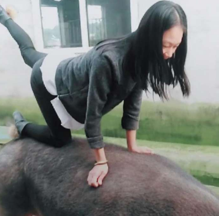 姑娘当众表演花式骑猪,猪还能骑出这些花样,只为在网上出名|猪|女孩子