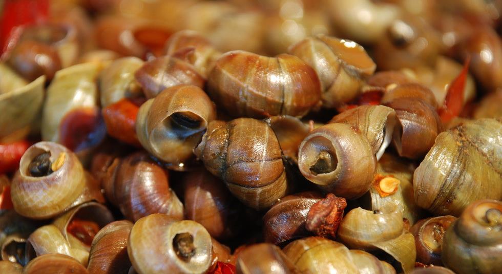 田螺的尾部,是"黄"还是"屎"?很多人都搞错了,不懂别乱吃