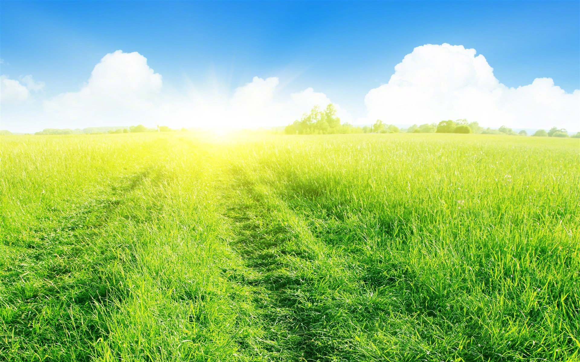 生命的天空里,有风和日丽,亦有云遮雾障.不是每轮艳阳都暖人