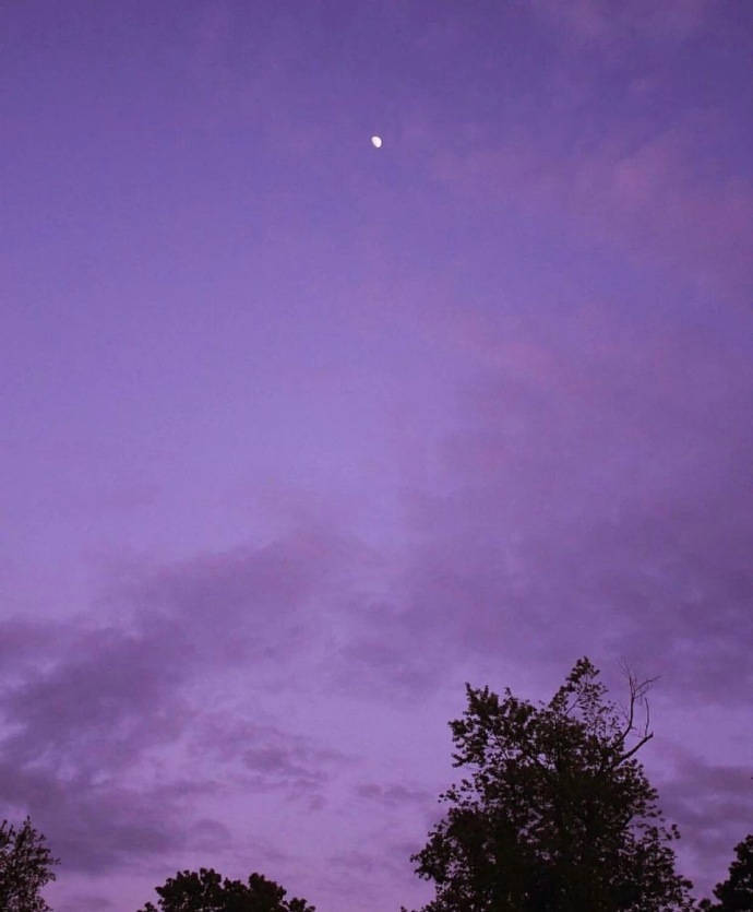 爱是紫色的折叠的忧郁