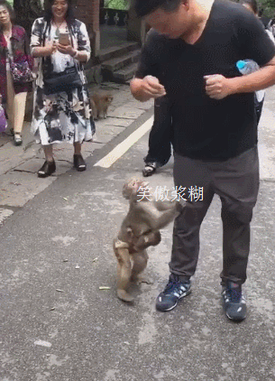 305_422竖版 竖屏gif 动态图 动图