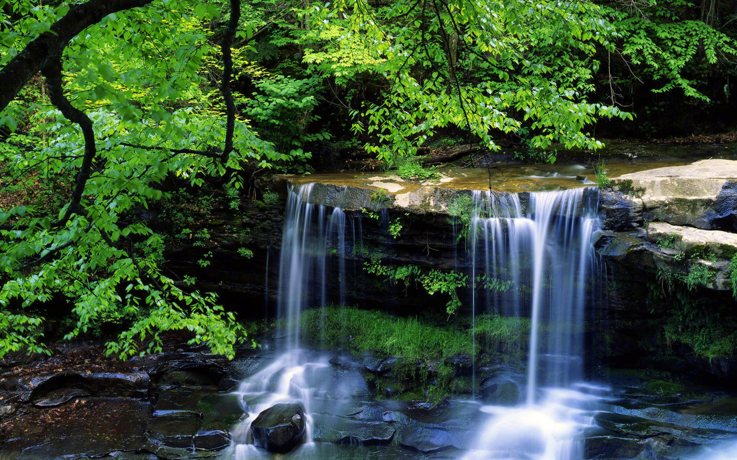 自然地走自然地忘不牵强自然是万物最美的姿态生命的节拍