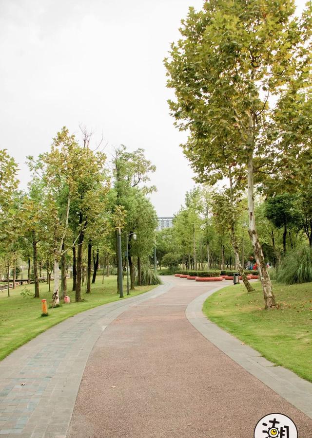 藏在城南的秘密公园!湖泊,绿地,美术馆,这里统统都有