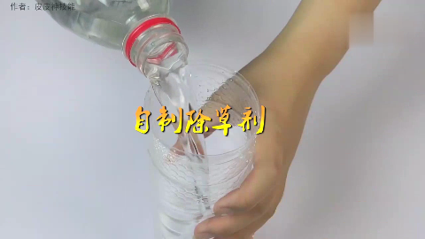 除草工人教我自制除草剂,便宜又有效,轻松杀死所有杂草