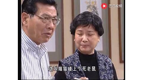 外来媳妇本地郎:康婶和康伯分开炒股第一回合康婶就赢了