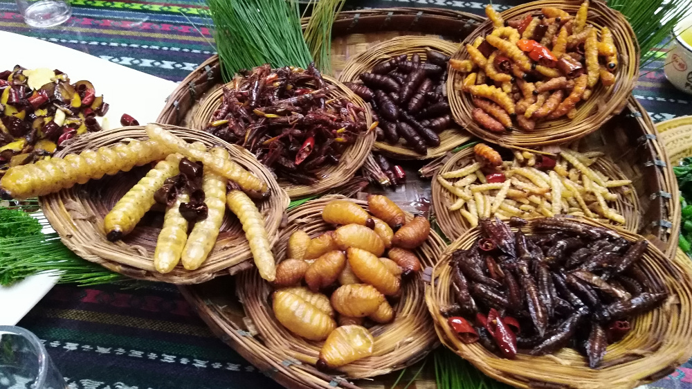没吃过昆虫宴,别说你来过云南