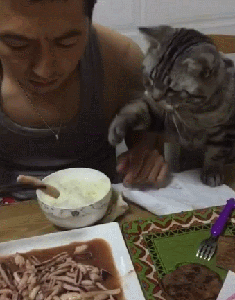 339_433竖版 竖屏gif 动态图 动图