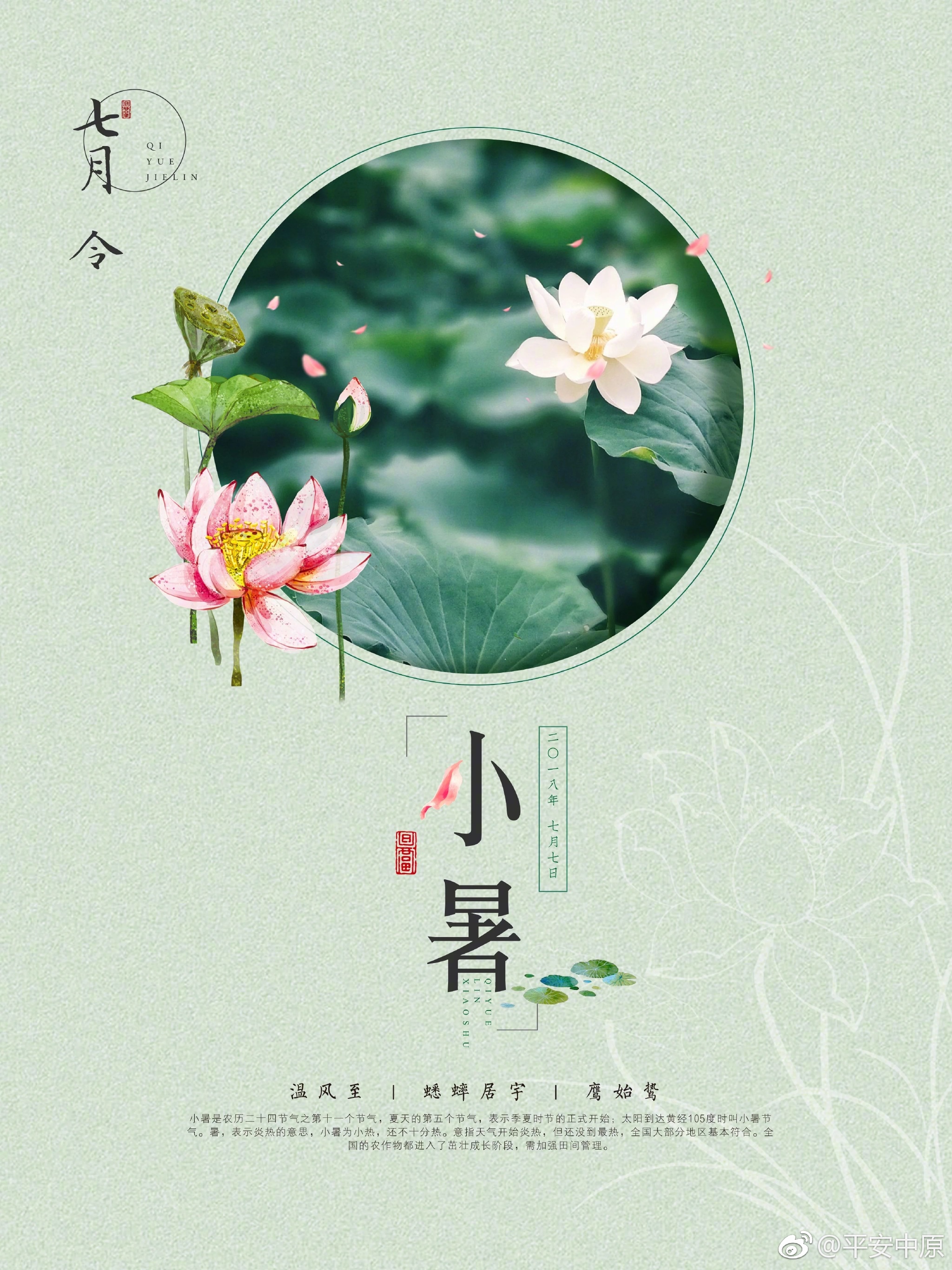 今日小暑,"桑拿模式"即将开启[doge]