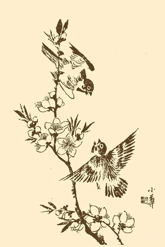 芥子园中千姿百态的鸟3