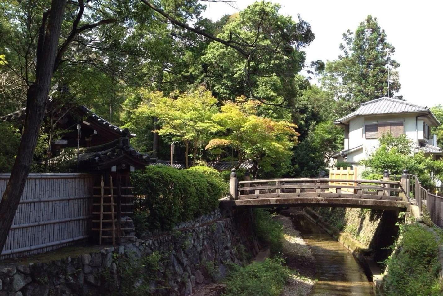 门票甚贵的世界文化遗产, 京都西芳寺, 青苔一绝