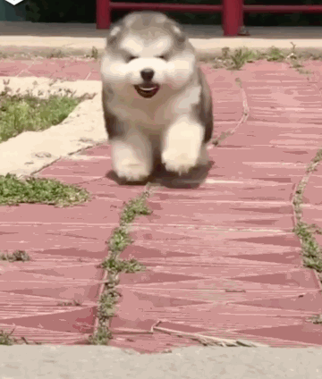 360_424gif 动态图 动图