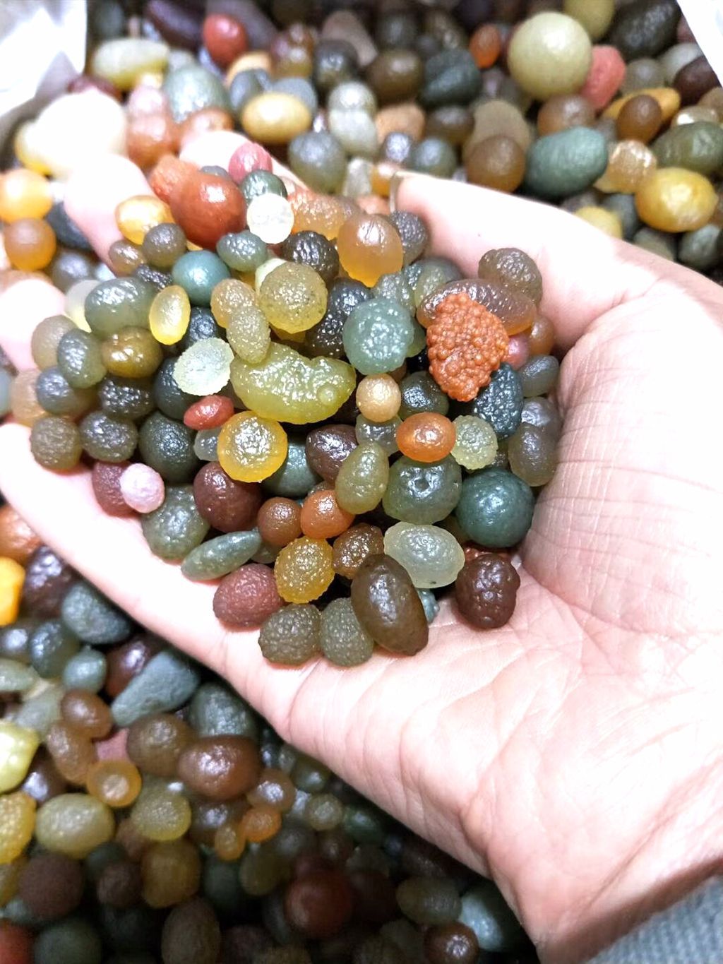 这样的原石就是淖毛湖的葡萄干玛瑙