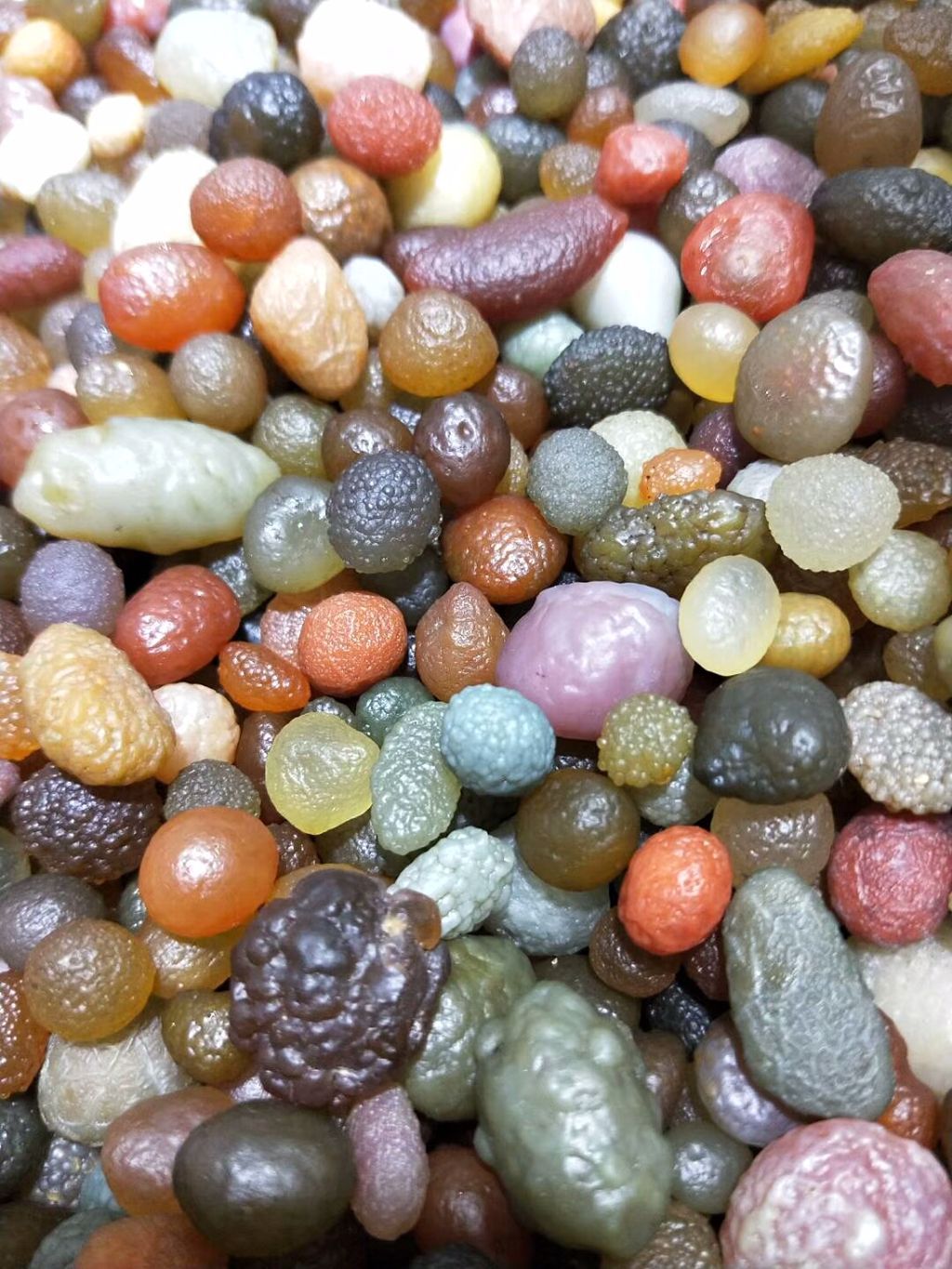 这样的原石就是淖毛湖的葡萄干玛瑙