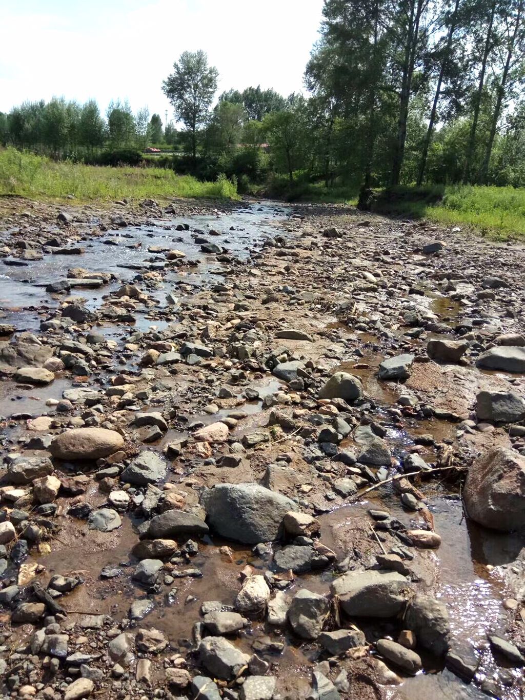 上图的河边就是我捡石头的地方.这个绿色的是我昨天下午捡到的.