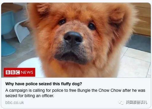 在英国4个月大的小汪咬了警察要坐牢?英国网友们不乐意了