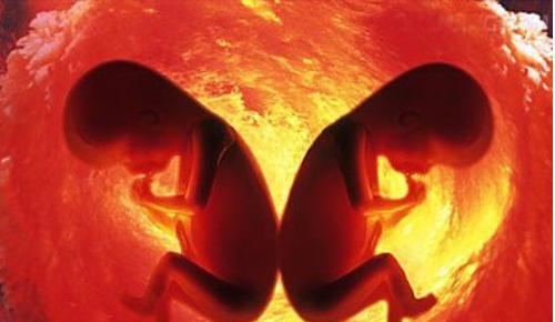 林志颖晒双胞胎儿子萌照 , 那么怎么样才能怀上