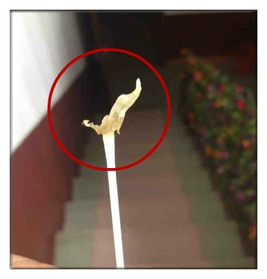 宝妈用这个方法,成功从宝宝鼻孔里揪出一大块鼻屎