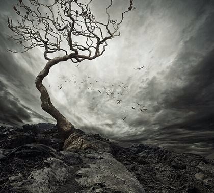 起风了, 一段表演看出人生百态世间冷暖《风有一张大嘴》原创诗文