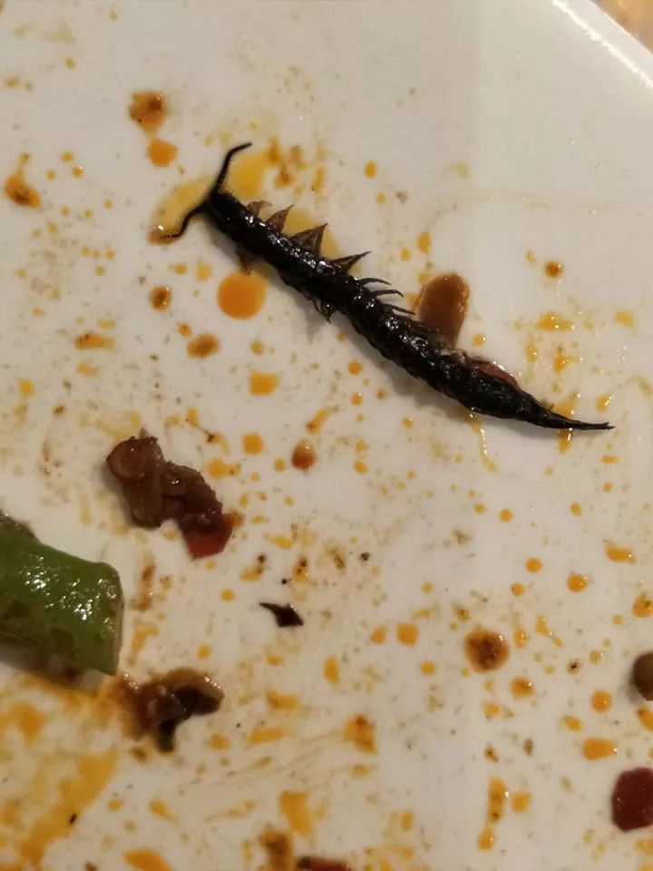 新加坡麻辣香锅吃出蜈蚣!老板:再来一碗?