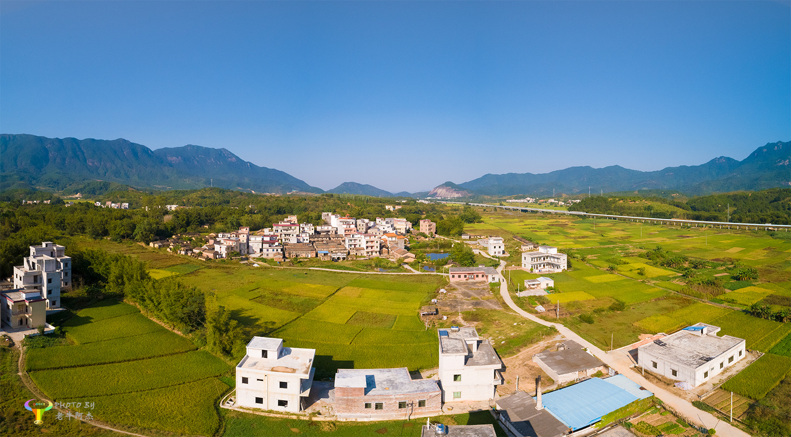 周日下乡拍摄肇庆封开杏花镇三联村下罗村的千顷稻田美景肇庆同城