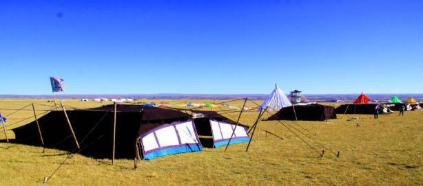 天赐骏马——黑帐篷下的“智阁鲁如”