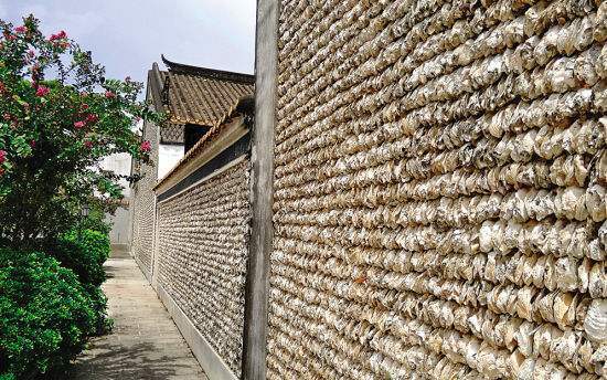 中国最爱吃生蚝的村子,用蚝壳建蚝宅,历经600年仍完好无损