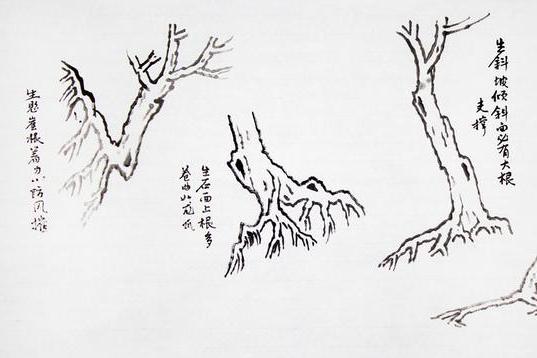 王玉池教授山水画基础技法教学讲义2:山水画中树的画法(1)