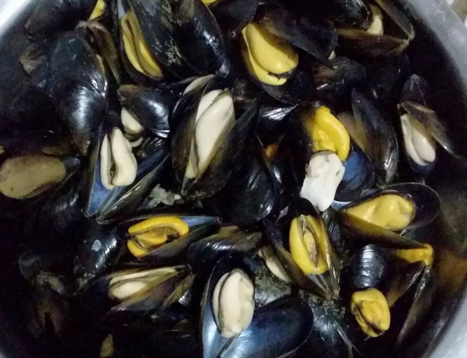 这样的姿势谁淡定得了|度假区|海虹|贻贝_新浪新闻