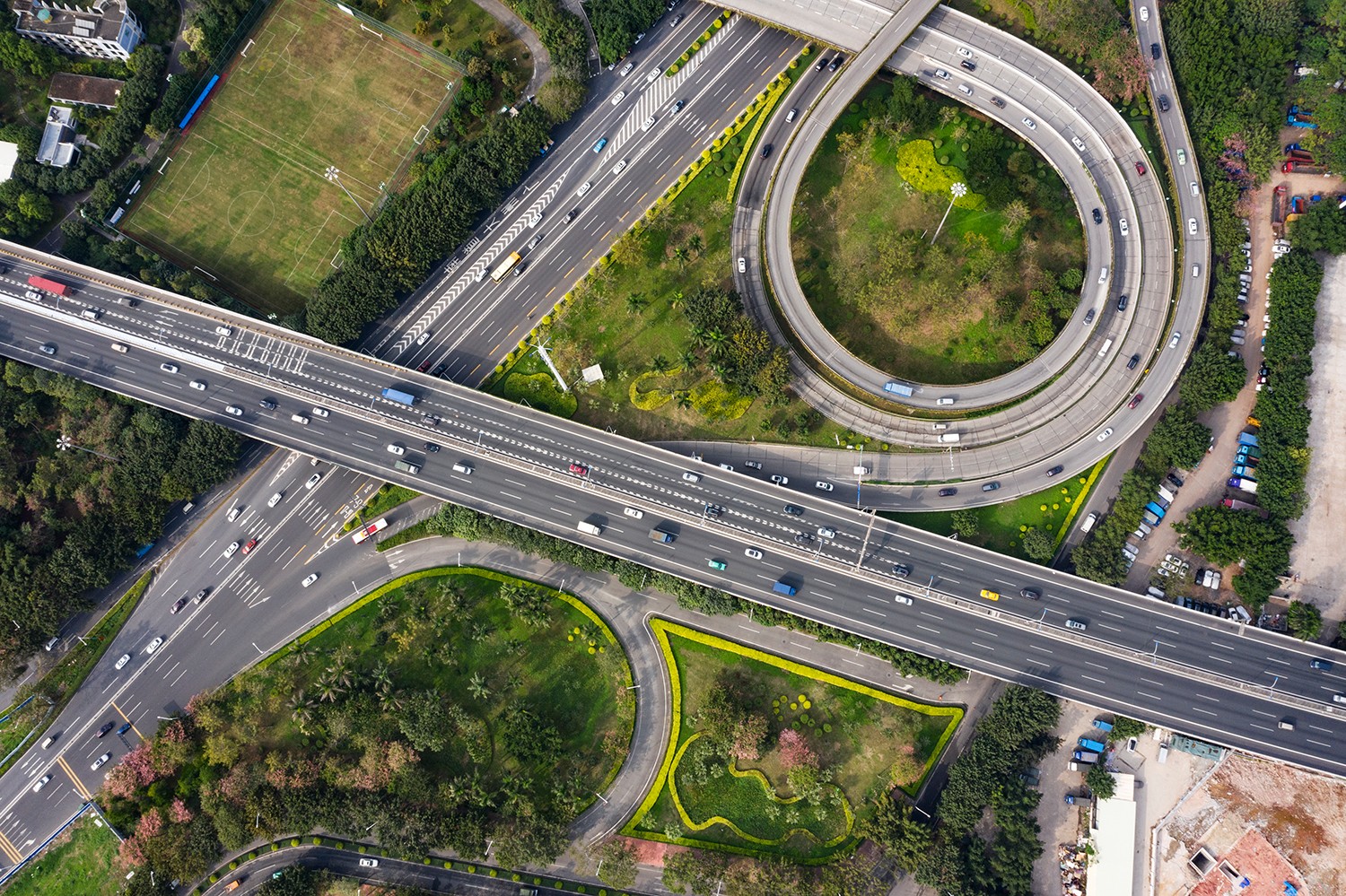 马路边的绿化都是艺术,广州您太厉害了!
