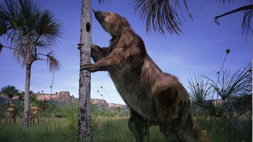 史前大地懒有多可怕?体型比亚洲象还大,传言还能跟霸王龙对干