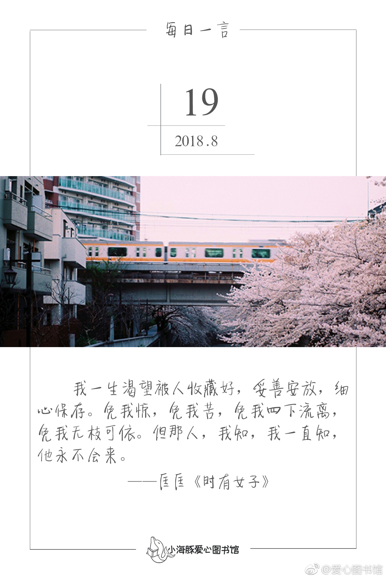 小海豚每日一言:"我一生渴望被人收藏好,妥善安放,细心保存