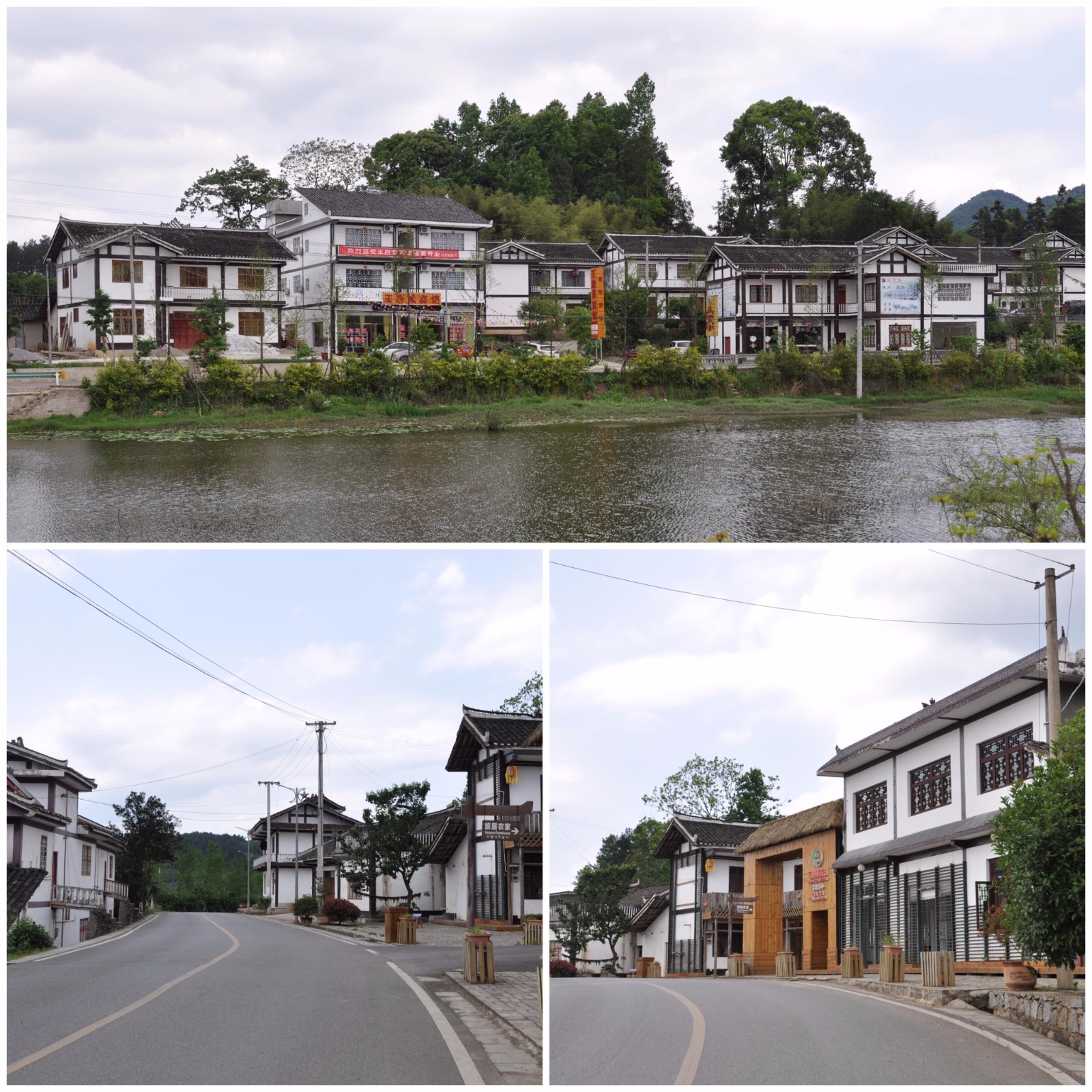 贵州湄潭:一个去了还想去的美丽茶乡